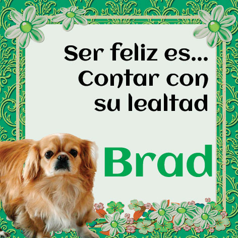 Ser feliz es... contar con su lealtad Pink
